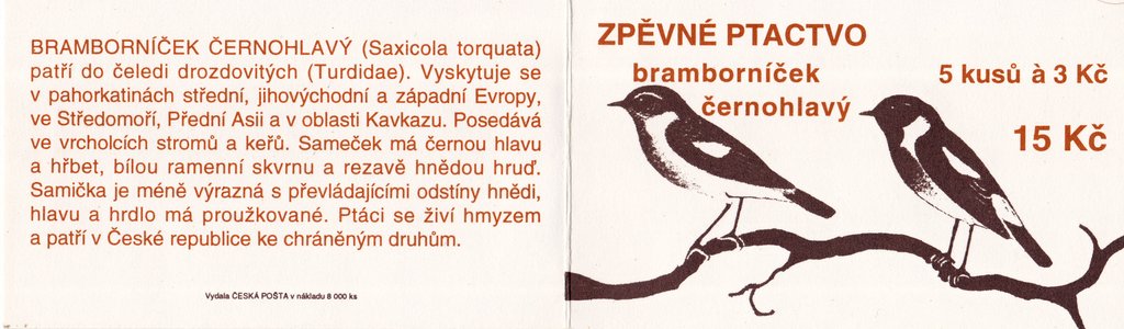 Common Stonechat (Saxicola torquata)