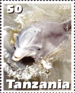 Stamp, Dolphin, Cinderellas,  , Animals (Fauna), Dolphins, Mammals, Sea Life