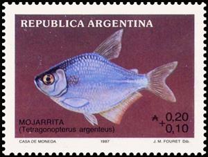 Stamp, Mojarrita (Tetragonopterus argenteus), Argentina,  , Animals (Fauna), Fishes