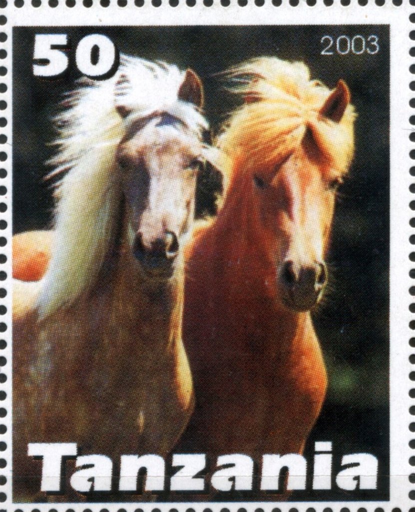 Horses