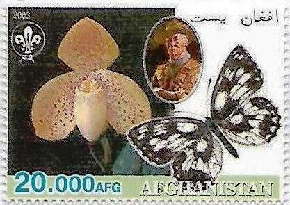 Stamp, Butterfly and orchid, Cinderellas,  , Animals (Fauna), Butterflies, Flowers, Insects, Orchids, Scouting