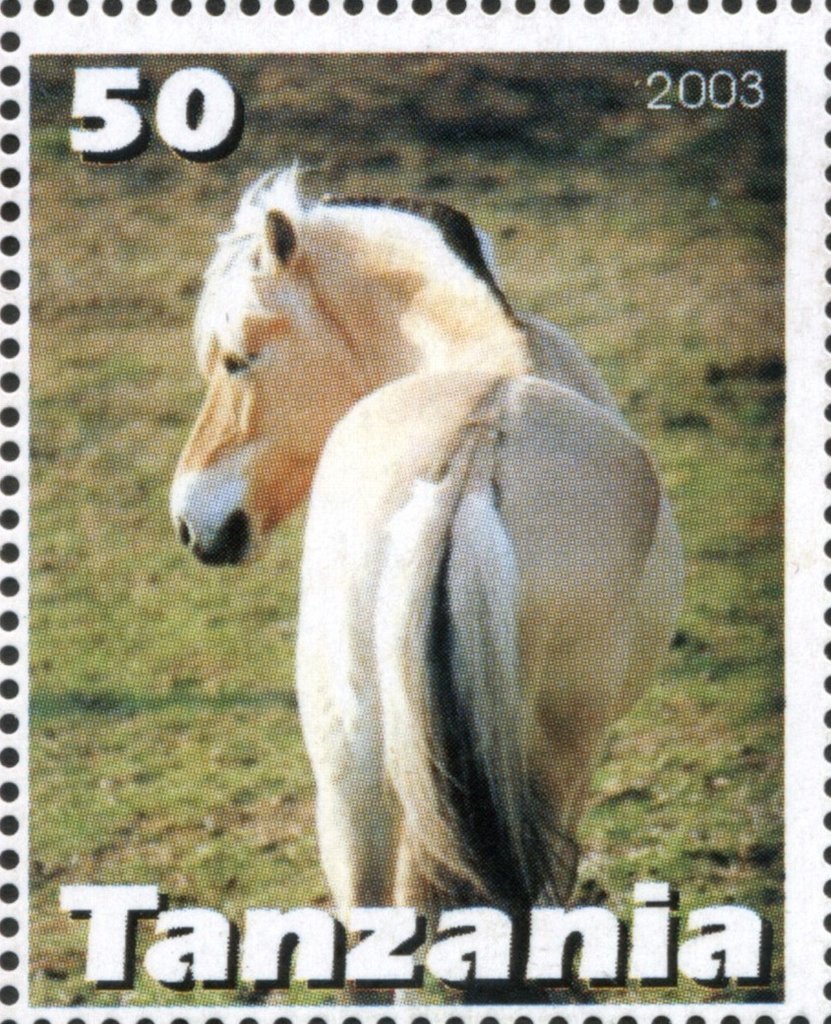 Horse