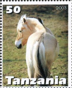 Stamp, Horse, Cinderellas,  , Animals (Fauna), Horses, Mammals