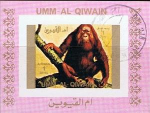 Souvenir Sheet, Sumatran Orangutan (Pongo sp.), Umm al-Qiwain,  , Animals (Fauna)