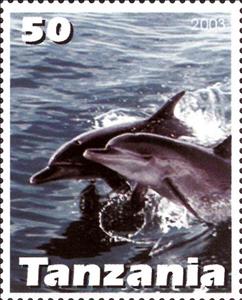 Stamp, Dolphin, Cinderellas,  , Animals (Fauna), Dolphins, Mammals, Sea Life