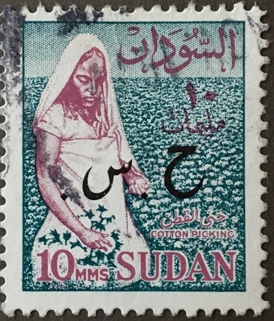Cotton picker