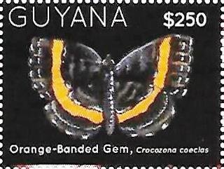 Crocozona coecias