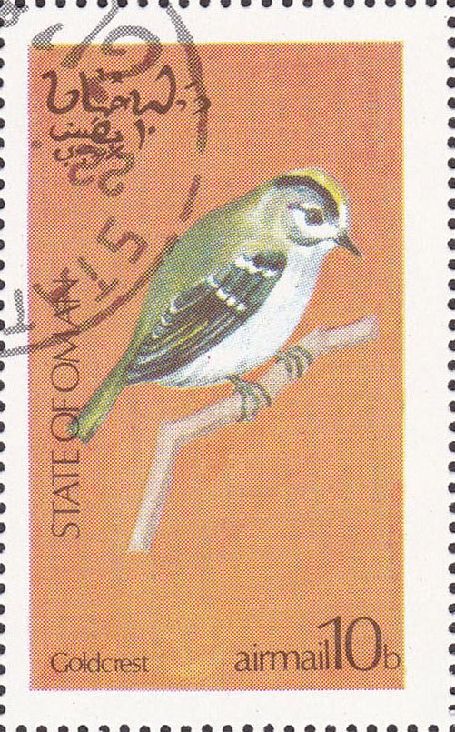Goldcrest