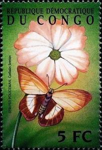 Stamp, Coeliades forestan, Cinderellas,  , Animals (Fauna), Butterflies, Insects