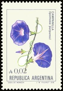 Stamp, Campanilla (Ipomea purpurea), Argentina,  , Flowers, Plants (Flora)