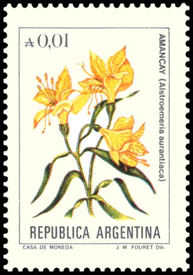Amancay (Alstroemenia aurantiaca)