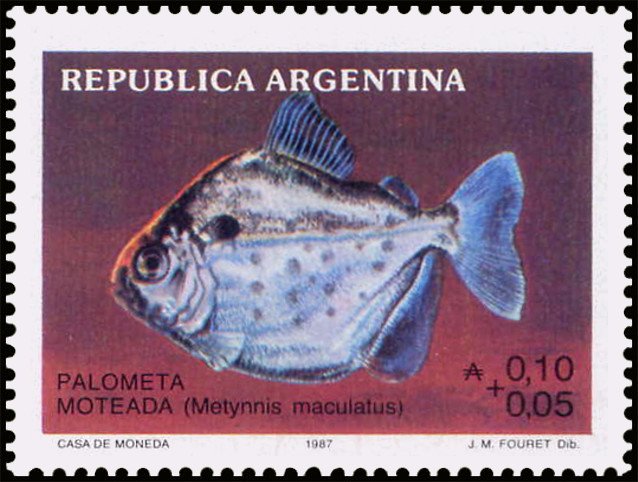 Palometa Moteada (Metynnis maculatus)