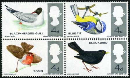 British Birds