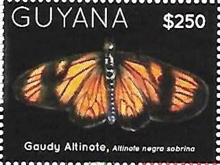 Altinole negra sobrina