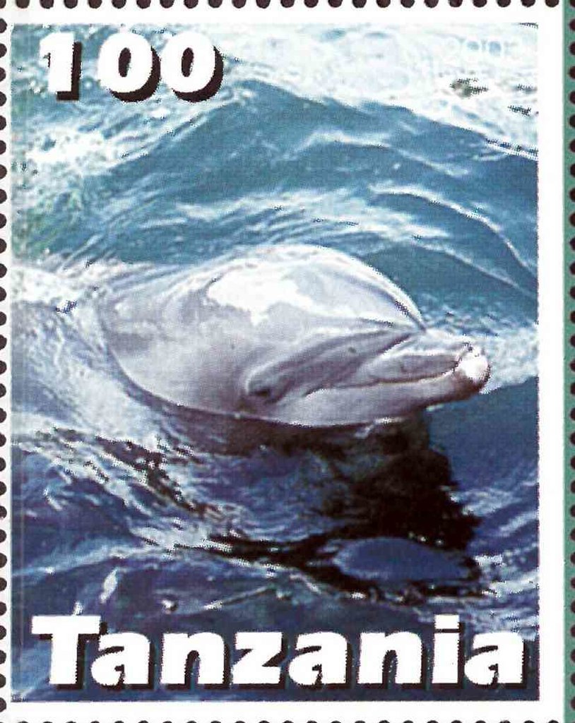 Dolphins