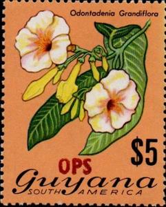 Stamp, "OPS" on $5 Odontodenia grandiflora, Guyana,  , Flowers