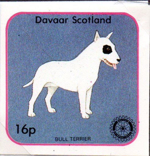 Bull Terrier, Rotary International