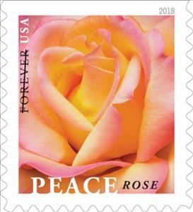 Stamp, Peace Rose, United States of America,  , Flowers, Plants (Flora), Roses