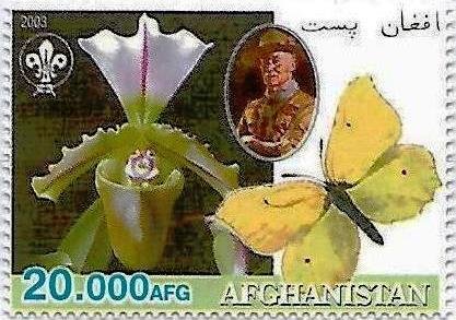 Stamp, Butterfly and orchid, Cinderellas,  , Animals (Fauna), Butterflies, Flowers, Insects, Orchids, Scouting