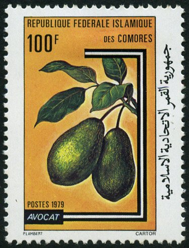 Avocado