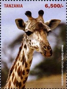 Stamp, Giraffes, Tanzania,  , Animals (Fauna), Giraffes, Mammals
