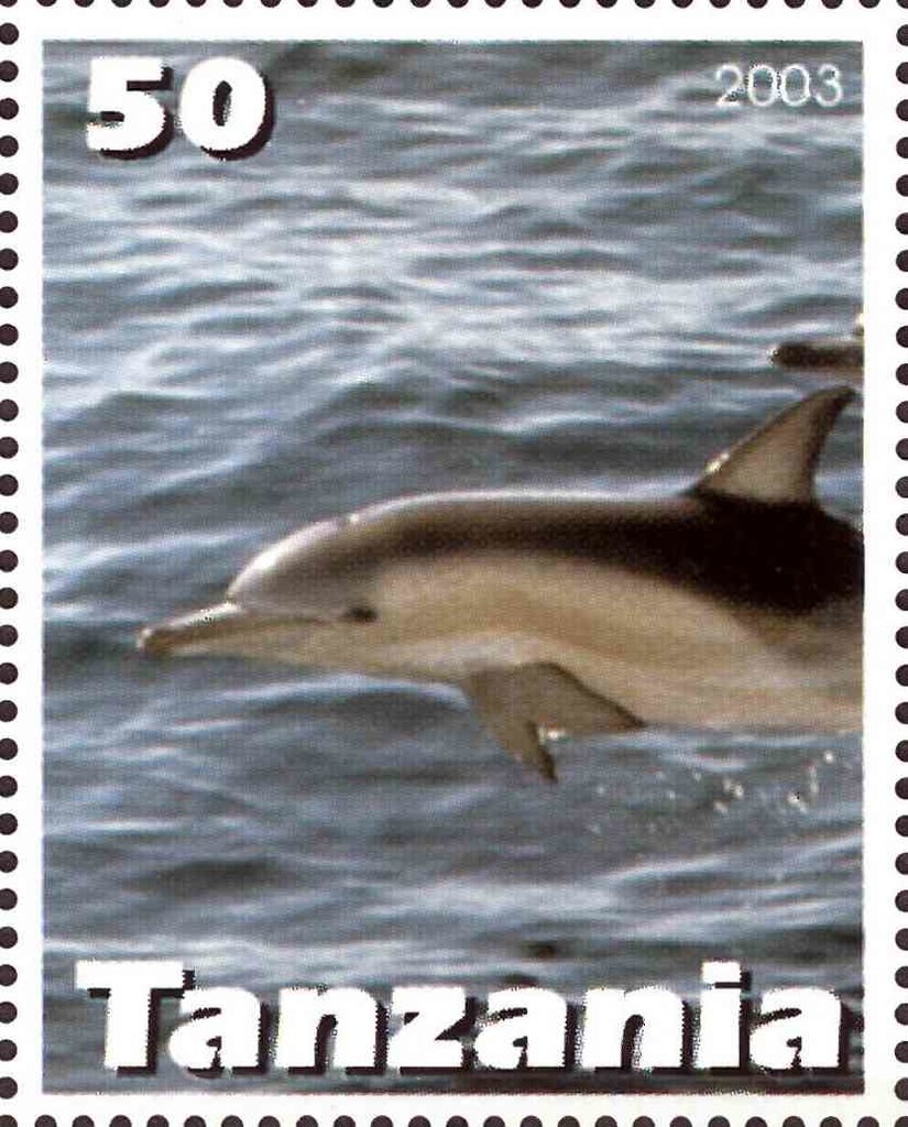 Dolphin