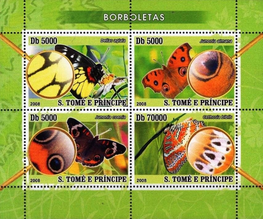 Butterflies