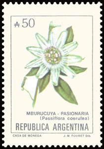 Stamp, Mburucuyá (Passiflora coerulea), Argentina,  , Flowers, Plants (Flora)