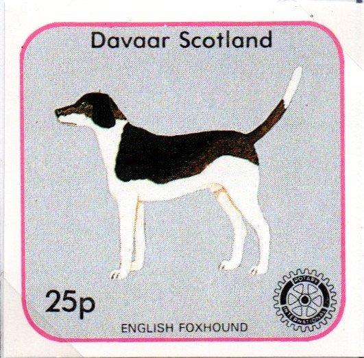 English Foxhound, Rotary International