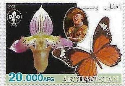 Butterfly and orchid