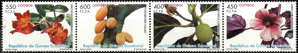 Fruits and flora