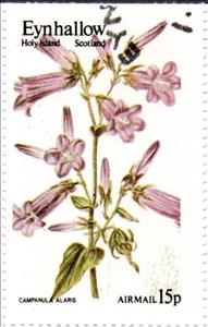 Stamp, Campanula alaris, Cinderellas,  , Flowers
