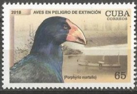 Birds in danger of Extinction