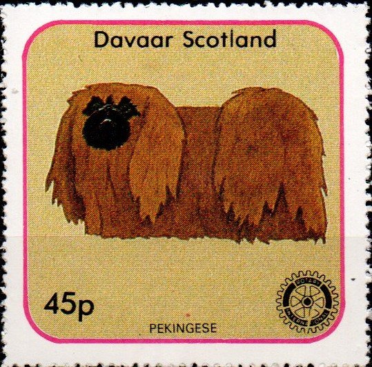 Pekingese, Rotary International