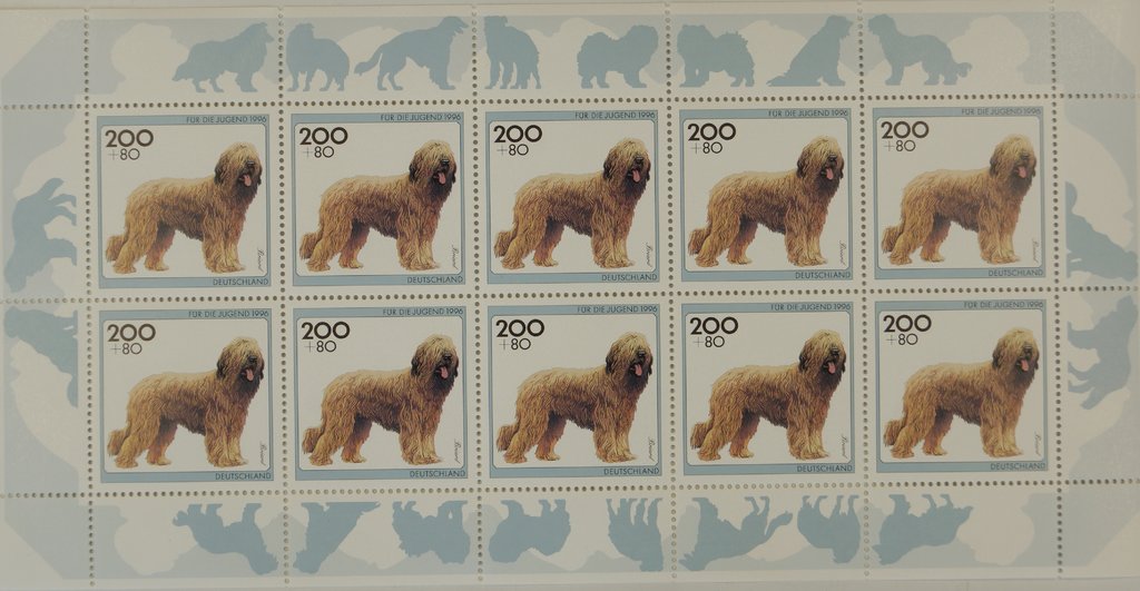 Für die Jugend, Hunde, Briard