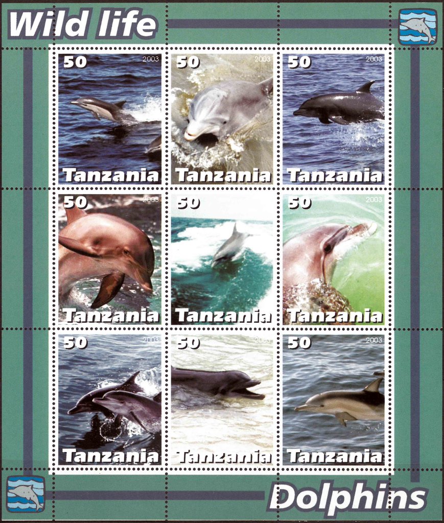 Dolphins