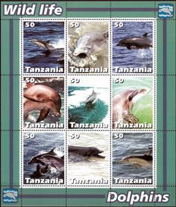 Mini Sheet, Dolphins, Cinderellas,  , Animals (Fauna), Dolphins, Mammals, Sea Life