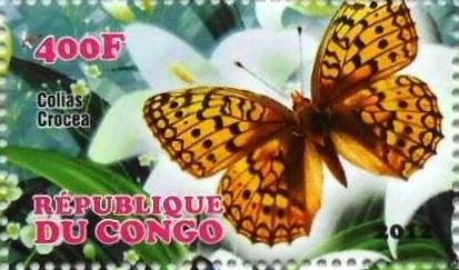Stamp, Colias crocea, Cinderellas,  , Animals (Fauna), Butterflies, Insects