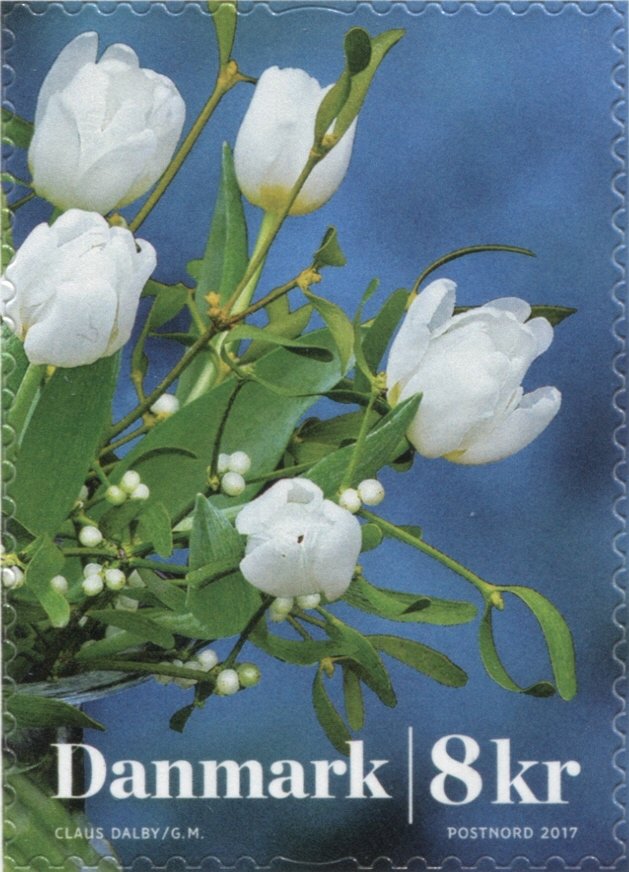 Winterflowers