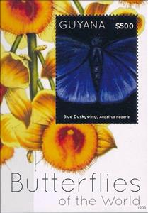 Souvenir Sheet, Anastrus neaeris, Guyana,  , Animals (Fauna), Butterflies, Insects