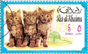 Stamp, Felis Domesticus, Ras al Khaimah,  , Animals (Fauna), Cats