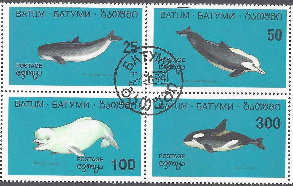 Marine mammal
