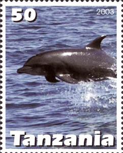 Stamp, Dolphin, Cinderellas,  , Animals (Fauna), Dolphins, Mammals, Sea Life