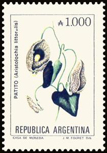 Stamp, Patito (Aristolochia littoralis), Argentina,  , Flowers, Plants (Flora)