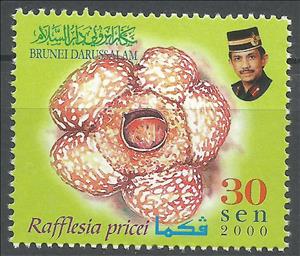Stamp, Rafflesia priceri, Brunei Darussalam,  , Flowers, Plants (Flora)