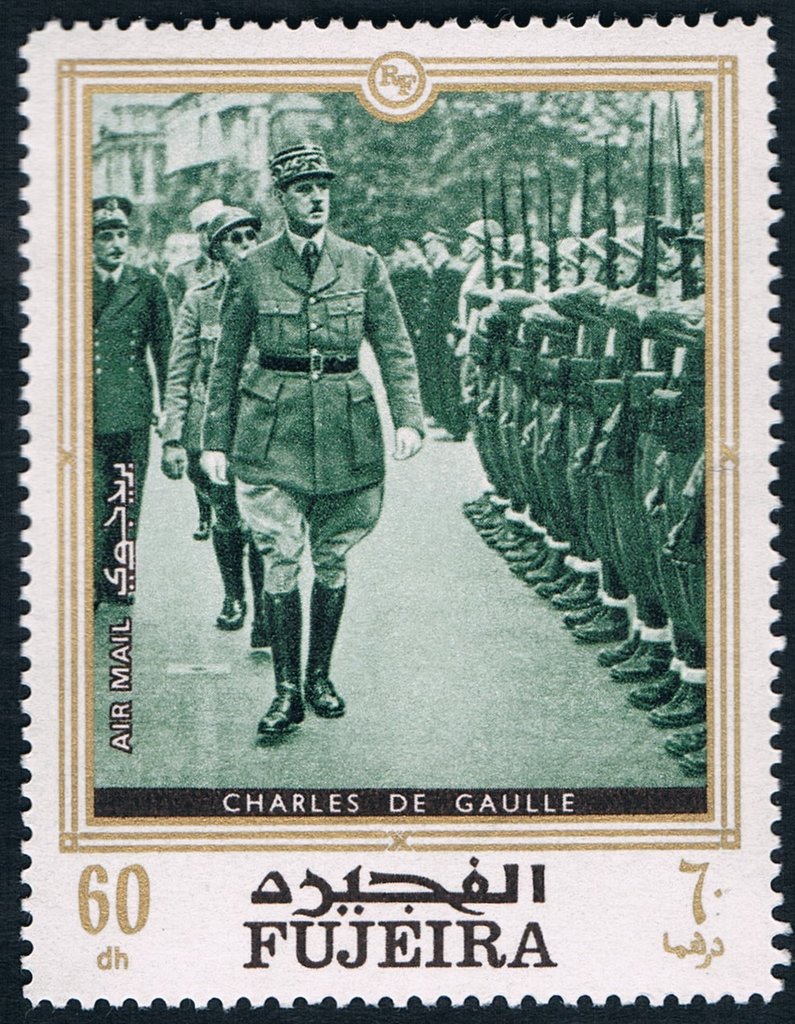 Troop inspection