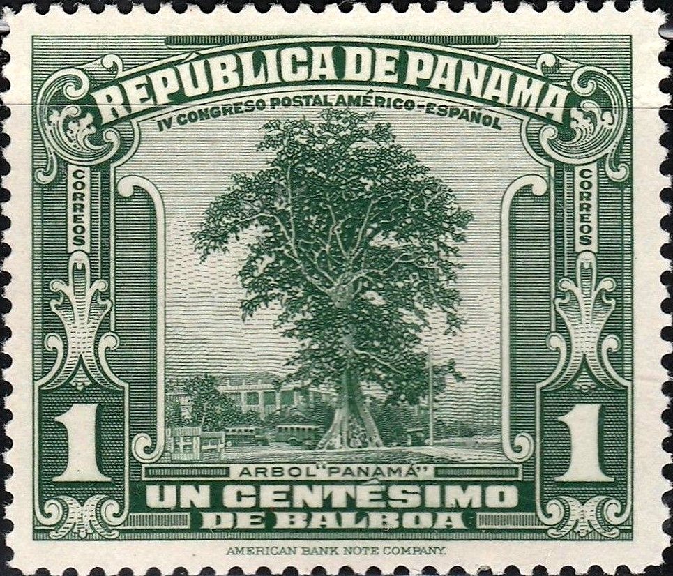 Panama Tree