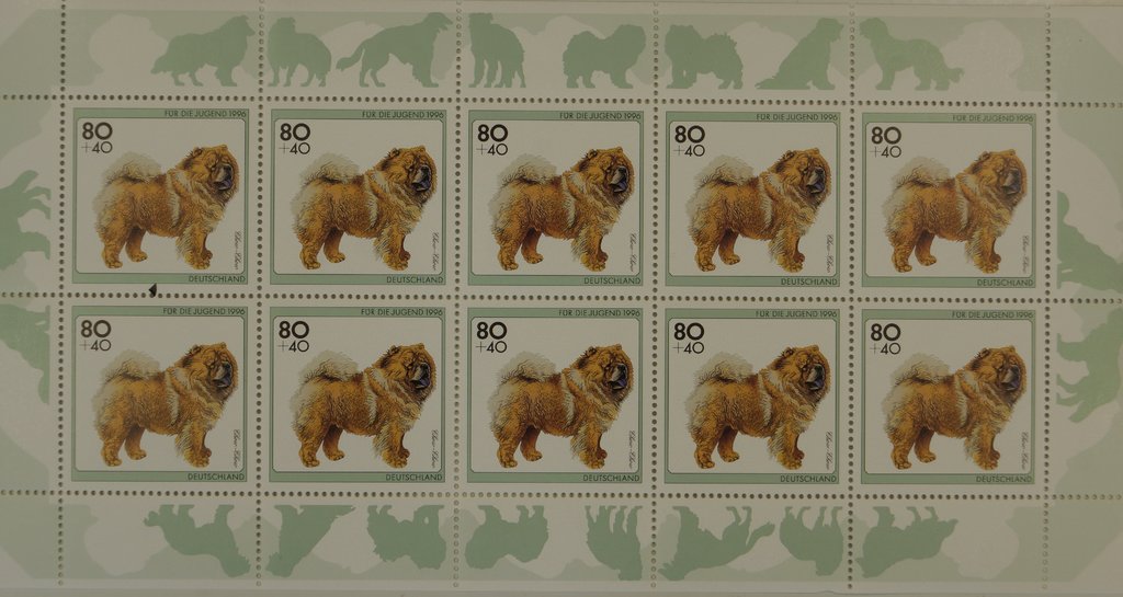 Für die Jugend, Hunde, Chow-Chow