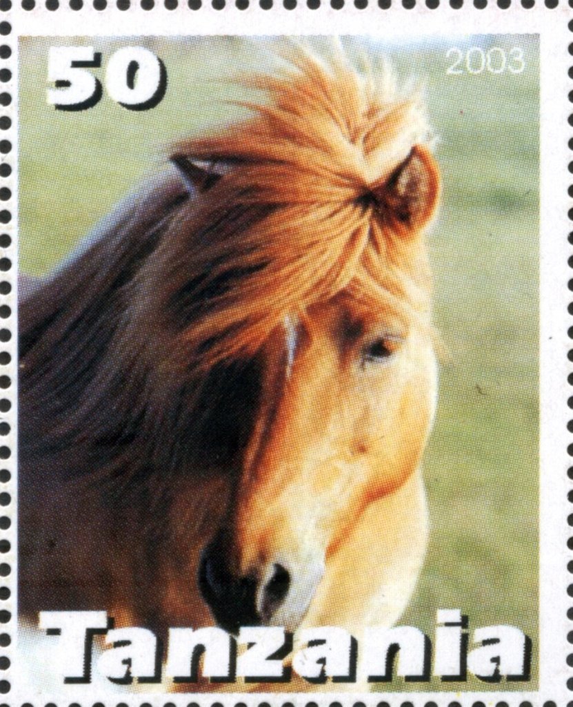 Horse