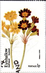 Stamp, Primula veris, Cinderellas,  , Flowers